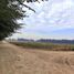  Land for sale in Chacabuco, Santiago, Colina, Chacabuco
