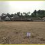  Land for sale in Kalasan, Sleman, Kalasan