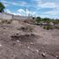  Terreno (Parcela) en venta en Huimilpan, Querétaro, Huimilpan