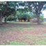  Land for sale in Las Lajas, Chame, Las Lajas