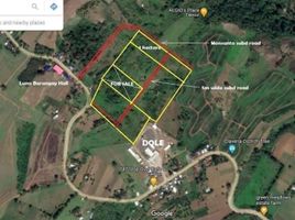  Land for sale in Claveria, Misamis Oriental, Claveria