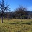  Land for sale in Chignahuapan, Puebla, Chignahuapan
