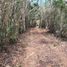  Land for sale in Tizimin, Yucatan, Tizimin