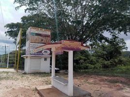  Terrain for sale in Oaxaca, Dist Jamiltepec, Oaxaca