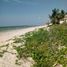 Terrain à vendre à Telchac Puerto, Yucatan, Telchac Puerto