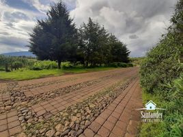  Grundstück zu verkaufen in Patzcuaro, Michoacan, Patzcuaro