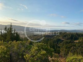 Terreno (Parcela) en venta en Chile, Vichuquen, Curicó, Maule, Chile