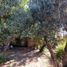 3 Bedroom House for sale in Chile, Puente Alto, Cordillera, Santiago, Chile