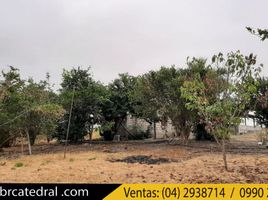  Terreno (Parcela) en venta en Guayas, General Villamil (Playas), Playas, Guayas