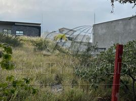  Grundstück zu verkaufen in San Pedro Garza Garcia, Nuevo Leon, San Pedro Garza Garcia, Nuevo Leon