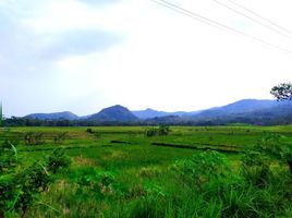  Tanah for sale in Pengasih, Kulon Progo, Pengasih