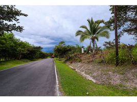  Grundstück zu verkaufen in San Carlos, Panama Oeste, San Carlos, San Carlos