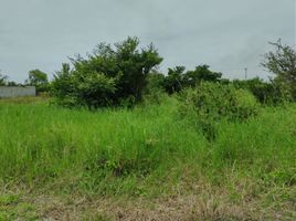 Terrain à vendre à Medellin, Veracruz, Medellin
