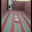 4 Habitación Casa en venta en Tenggilis Mejoyo, East Jawa, Tenggilis Mejoyo, Surabaya, East Jawa