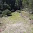  Land for sale in Rionegro, Antioquia, Rionegro