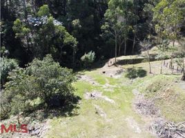  Land for sale in Rionegro, Antioquia, Rionegro