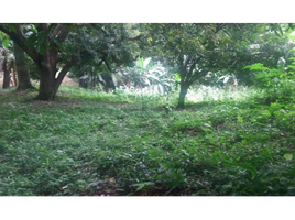  Land for sale in Nueva Gorgona, Chame, Nueva Gorgona