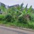  Land for sale in Batu, Malang Regency, Batu