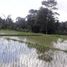  Land for sale in Sukawati, Gianyar, Sukawati