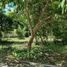 Land for sale in Tixpehual, Yucatan, Tixpehual