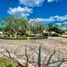  Land for sale in Tixpehual, Yucatan, Tixpehual