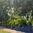  Land for sale in Tixpehual, Yucatan, Tixpehual