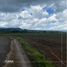  Land for sale in Tepic, Nayarit, Tepic