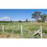  Land for rent in Aguascalientes, Aguascalientes, Aguascalientes