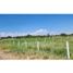  Land for rent in Aguascalientes, Aguascalientes, Aguascalientes