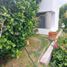 Villa 3 chambre à vendre à Miacatlan, Morelos, Miacatlan