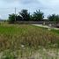 3 Bedroom House for sale in Ginyar, Bali, Ginyar