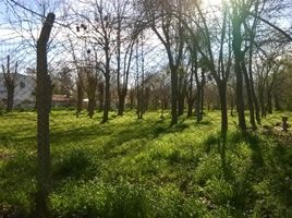 Terrain à vendre à Tigre, Buenos Aires, Tigre