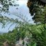 4 Bedroom Villa for sale in Lembang, West Jawa, Lembang