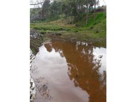Terrain à vendre à El Carmen De Viboral, Antioquia, El Carmen De Viboral
