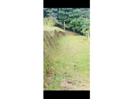  Grundstück zu verkaufen in Santa Rosa De Cabal, Risaralda, Santa Rosa De Cabal, Risaralda