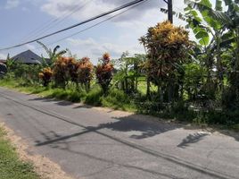  Terreno (Parcela) en venta en Seyegan, Yogyakarta, Seyegan