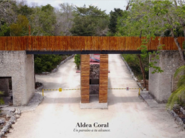  Grundstück zu verkaufen in Cozumel, Quintana Roo, Cozumel