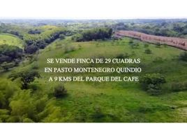 5 Habitación Villa en venta en Montenegro, Quindio, Montenegro