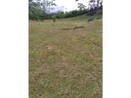  Terreno (Parcela) en venta en Arraiján, Panamá Oeste, Arraiján, Arraiján