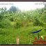  Land for sale in Ubud, Gianyar, Ubud