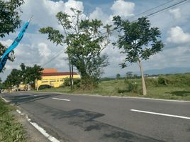 2 Kamar Rumah for sale in Klaten Selatan, Klaten, Klaten Selatan