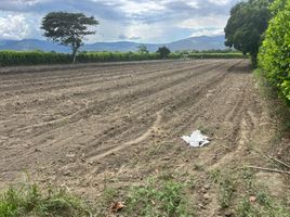  Land for sale in Palmira, Valle Del Cauca, Palmira