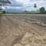  Land for sale in Palmira, Valle Del Cauca, Palmira