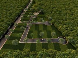  Grundstück zu verkaufen in Conkal, Yucatan, Conkal