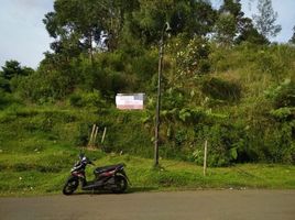 Terrain à vendre à Padalarang, West Jawa, Padalarang
