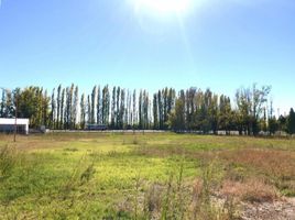  Terreno (Parcela) en venta en General Roca, Rio Negro, General Roca