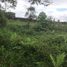  Land for sale in Santo Domingo De Los Colorados, Santo Domingo De Los Tsachilas, Santo Domingo De Los Colorados, Santo Domingo, Santo Domingo De Los Tsachilas