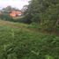  Land for sale in Santo Domingo De Los Colorados, Santo Domingo De Los Tsachilas, Santo Domingo De Los Colorados, Santo Domingo, Santo Domingo De Los Tsachilas