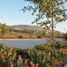 Land for sale in Cumbaya, Pichincha, Cumbaya, Quito, Pichincha