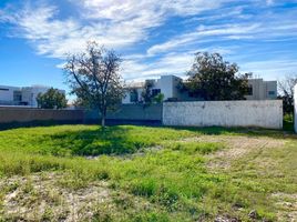  Grundstück zu verkaufen in Matamoros, Coahuila, Matamoros, Coahuila